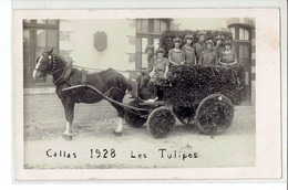 CP PHOTO 83 - CAVALCADE DE CALLAS - CHAR DES TULIPES - 1928 - Callas