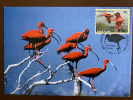 Carte Carte Maximum Oiseau Bird Ibis ONU United Nations Endangered Species Especes Menacées FDC - Flamants