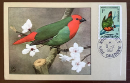 Carte Maximum 1967 Oiseau Vogel Bird Nouvelle Caledonie Maxicard FDC - Lettres & Documents