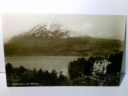 Hertenstein Mit Pilatus. Schweiz. Alte Ansichtskarte / Postkarte S/w, Ungel. Um 1910 / 15 ?.  Panoramablick üb - Stein