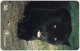 BRASIL U-552 Magnetic Telemat - Animal, Cat, Panther - Used - Brasilien