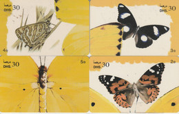 4 Papillons Emirats - Butterflies