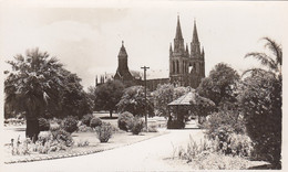 Adelaide Australia, Pennington Gardens And St. Peter's Cathedral C1920s Vintage Rose Series #P9243 Real Photo Postcard - Adelaide