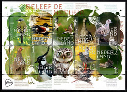 Nederland NVPH 3824-33 V3824-33 Vel Beleef De Natuur Boerenlandvogels 2020 Postfris MNH Netherlands Birds - Ungebraucht