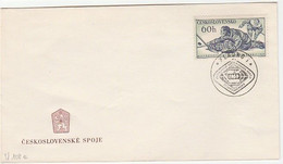 Cecoslovacchia Busta Sport 1969 Hockey - Briefmarken Postcard Postkarte - Eishockey