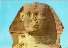 GIZA - The Head Of The Famous Sphinx - Sphinx