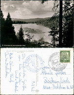 Ansichtskarte Bayerisch Eisenstein Kl. Arbersee Mit Schwimmender Insel 1962 - Other & Unclassified