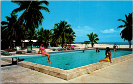 Florida Keys Islamorada The Islander Resort Swimming Pool - Key West & The Keys