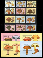 Bhutan 1989 .  Mushrooms . 12v.+ 12 S/S - Bhutan