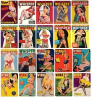 Pin Ups Of PETER DRIBEN Postcard COLLECTION - (100 DIFFERENTS POSTCARDS) - Pin-Ups