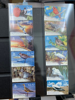 Birds Long Sets British Indian Ocean Territory From Hong Kong MNH - Covers & Documents