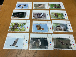 Birds Long Set Cook Island From Hong Kong MNH - Briefe U. Dokumente