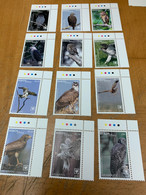 Birds Long Set Cook Island Eagle Owl From Hong Kong MNH - Briefe U. Dokumente