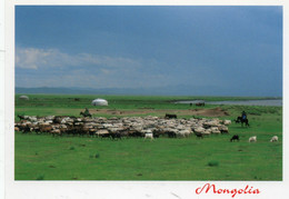 MONGOLIE MONGOLIA CYOURTE ET TROUPEAU CPM NEUVE - Mongolia