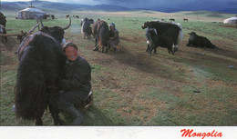 MONGOLIE MONGOLIA TRAITE DES YACK CPM NEUVE - Mongolia