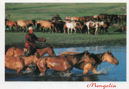 MONGOLIE MONGOLIA TROUPEAU DE CHEVAUX CPM NEUVE - Mongolia