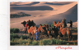MONGOLIE MONGOLIA TROUPEAU DE CHAMEAUX CPM NEUVE - Mongolei