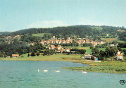 LES BRENETS LE SAUT DU DOUBS FRONTIERE FRANCO SUISSE CPM 1995 NEUVE - Les Brenets