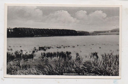 3579 SCHWARZENBORN, Blick über Den Knüllteich - Homberg