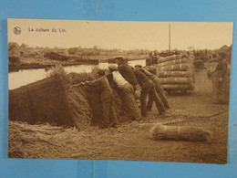 La Culture Du Lin Le Ballon Chargé Est Poussé à L'eau - Cultures