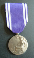 Médaille D'Honneur Des Services Bénévoles - Professionnels / De Société