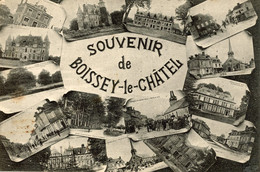 SOUVENIR DE BOISSEY LE CHATEL - Other & Unclassified