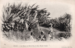AFRIQUE DU NORD,ALGERIA,ALGERIE,ORAN,ORANIE,MAGHREB,LA RADIEUSE,RARE,1900 - Oran
