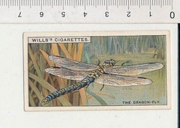 The Dragon-fly Is Harmless / La Libellule Est Inoffensive / Insect Insecte 166/7 - Wills