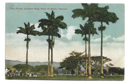 TRINIDAD & TOBAGO - PORT OF SPAIN - THE PALMS QUEEN'S PARK - Trinidad
