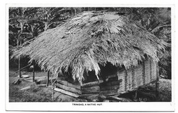 TRINIDAD & TOBAGO - A NATIVE HUT RPPC - Trinidad