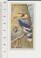 What Bird Imprisons His Mate In A Tree ? / Hornbill / Bird Oiseau Calao 166/8 - Wills