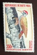 Upper Volta 1964 Airmail Birds Woodpecker MNH - Zonder Classificatie