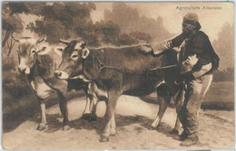 Delcampe - 79368 - ALBANIA - VINTAGE Ethnic POSTCARD  -  Posta Military Postmark 1916. - Albanien