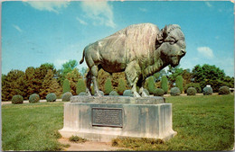Nebraska Lincoln Pioneers Park Life Size Bronze Buffalo Guarding Entrance 1961 - Lincoln