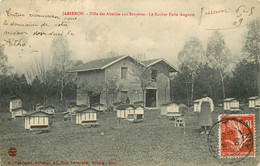 01* JASSERON   Villa Des Abeilles  - Rucher « paris Auguste »    RL21,0106 - Otros Municipios