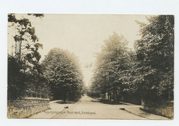 HARROW, Middlesex, Roxborough Avenue- REAL PHOTO Postcard 1908 Aprox.  ( 2 Scans ) - Middlesex