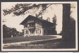 CPA  Suisse, CRASSIER, Chalet Des Bois, Carte Photo, 1929 - Crassier