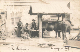 15  Auvergne Cantal ?  Ferrage Des Boeufs   Carte Photo - Murat