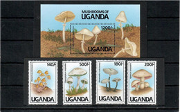 Uganda  1991 . Mushrooms.  4v.+ S/S - Ouganda (1962-...)