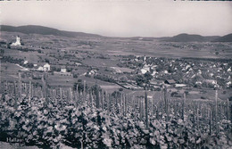 Hallau SH, Village Et Vignes (5166) - Hallau