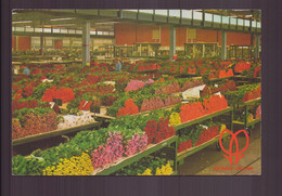 PAYS BAS CULTOWER SECTION UNITED FLOWER MARKETS AALMEER - Aalsmeer