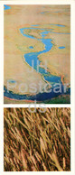 Steppe River - Golden Corn - 1976 - Kazakhstan USSR - Unused - Kazakistan