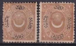 TURQUIE - 1867 - TAXE YVERT N°11/12 (*) NEUFS SANS GOMME - COTE = 65 EUR - Ungebraucht