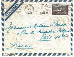 1959 - Argentine - Lettre Pour La France - Barrage El Nihuil N° 548A - Storia Postale