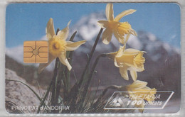 ANDORRA 1995 FLOWERS NARCISSUS - Blumen