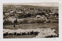 7252 WEIL DER STADT, Panorama, Schafherde, 1964 - Weil Der Stadt