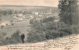 Porrentruy Vue Générale Animée Homme Chapeau Canne 1901 - Porrentruy