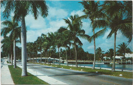 AC342 Florida - Fort Lauderdale - Las Olas Boulevard / Viaggiata 1981 - Fort Lauderdale