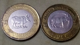 Sudan 2006 , 2 Types Of 20 Piastres / (non-magnetic And Magnetic With Straight 6)  KM 124 , GomaA - Sudan