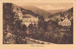 Bad Rippoldsau - Klösterle-Hof 1920 - Bad Rippoldsau - Schapbach